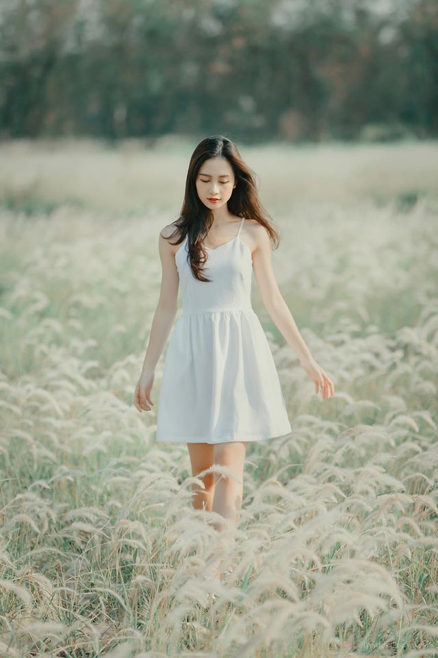 潜行者电视剧