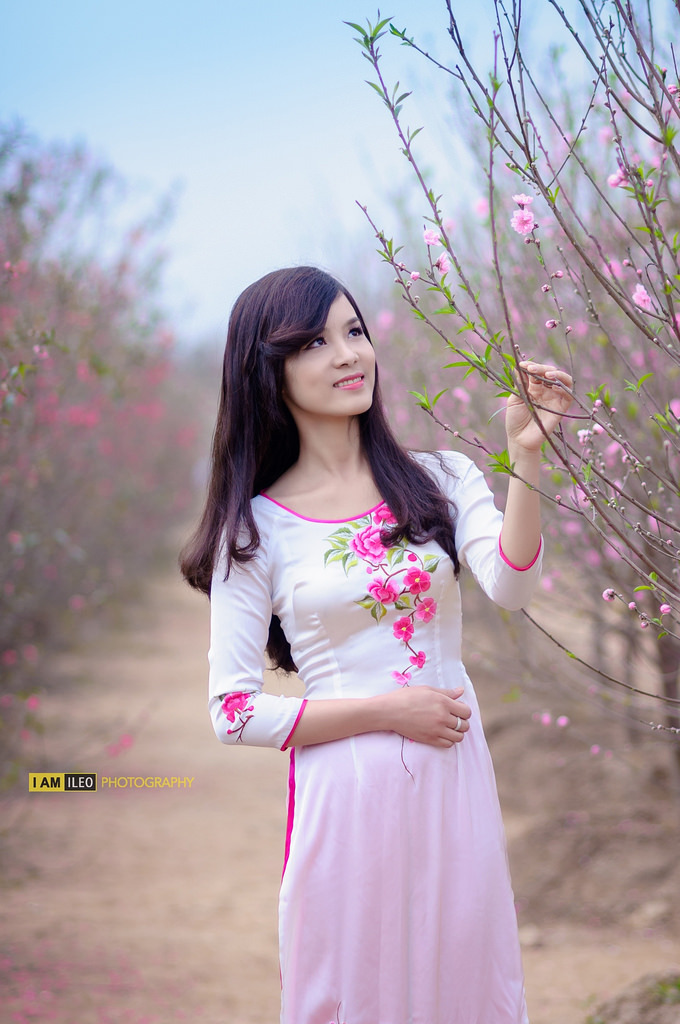 狐妖小红娘