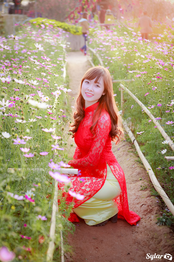 山炮进城2电影